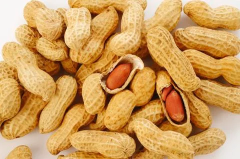 Peanut seed Stock Photos