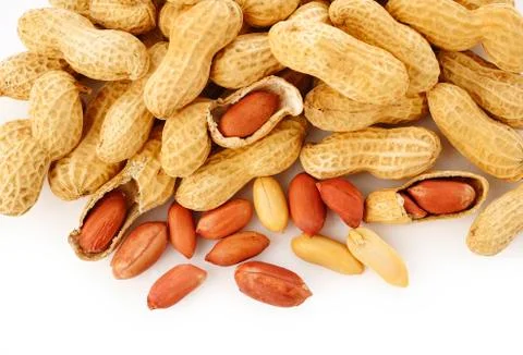 Peanut seed Stock Photos