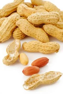 Peanut seed Stock Photos
