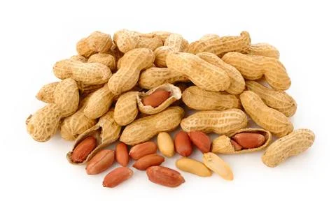 Peanut seed Stock Photos