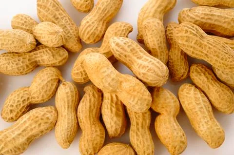 Peanut seed Stock Photos