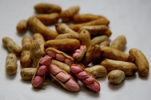 Peanut seeds Stock Photos