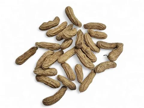 Peanut set isolated on white background. Whole and shelled groundnuts Stock Photos