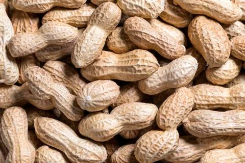 Peanut Shell Background Stock Photos