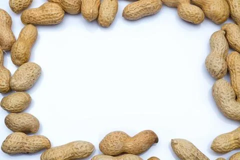 Peanut in the shell close-up. Stock Photos