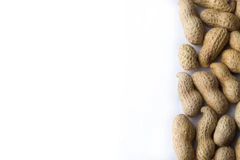 Peanut in the shell close-up. Stock Photos