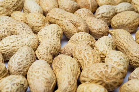 Peanut in the shell close-up. Stock Photos