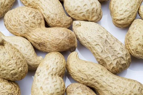 Peanut in the shell close-up. Stock Photos