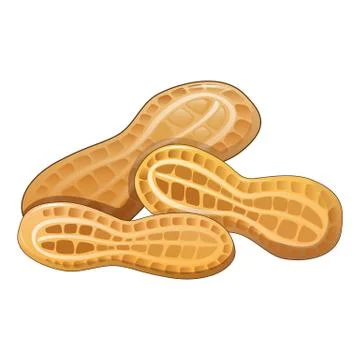 Peanut in shell icon, cartoon style Stock Illustration