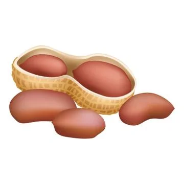 Peanut in shell icon, cartoon style Stock Illustration