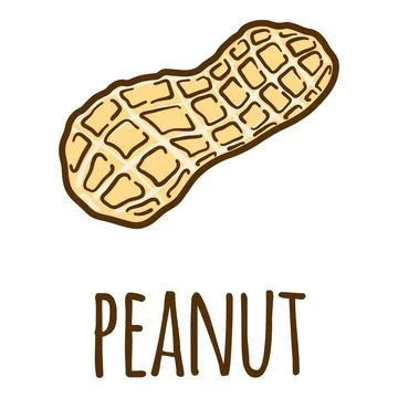 Peanut in shell icon, hand drawn style Stock Illustration