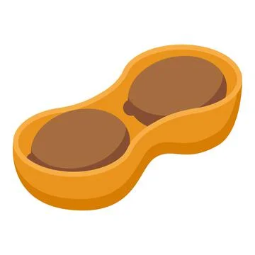 Peanut in shell icon, isometric style 스톡 일러스트