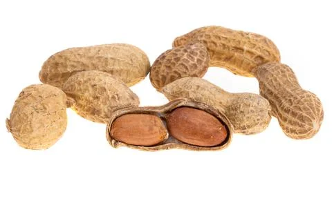 Peanut in shell isolated Stock Photos