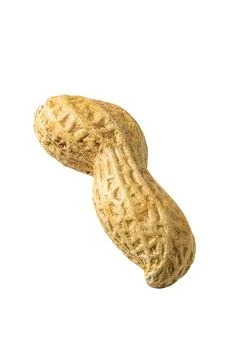 Peanut in Shell Isolated on White Foto stock