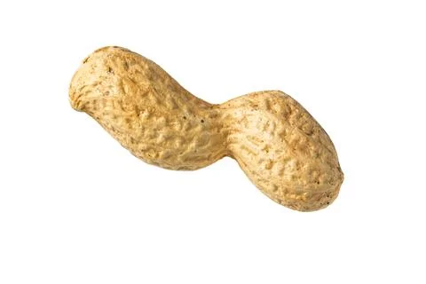 Peanut in Shell Isolated on White Foto stock