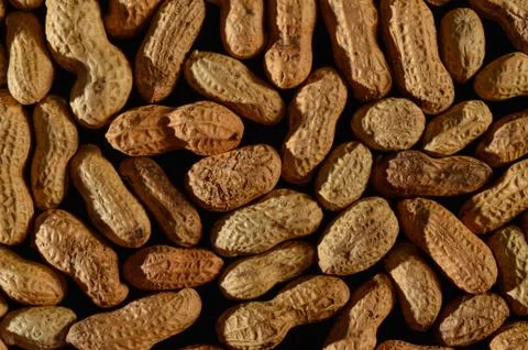 Peanut in a shell texture, background of peanuts Stock Photos