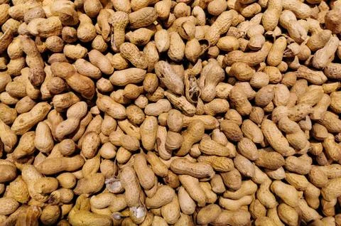 Peanut in a shell texture, dried peanuts with shell,peanut butter and peanut  Stock-Fotos