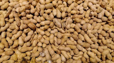 Peanut in a shell texture, dried peanuts with shell,peanut butter and peanut  Photos