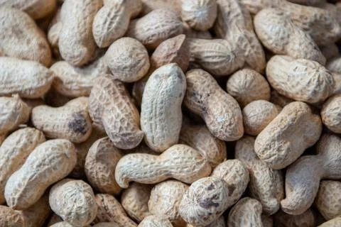 Peanut in a shell texture. food background of peanuts Stock Photos
