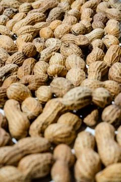 Peanut in a shell texture. food background of peanuts Stock Photos
