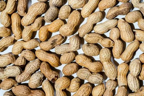 Peanut in a shell texture. food background of peanuts Stock Photos