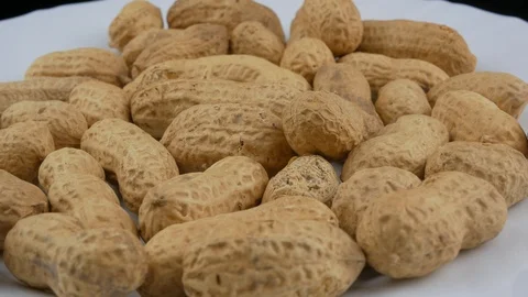 Peanut in a shell texture Stock Footage 102177504