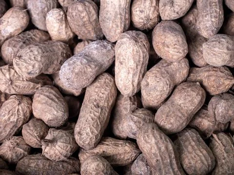 Peanut in shell texture. peanut food background. Stock Photos