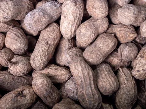 Peanut in shell texture. peanut food background. Stock Photos