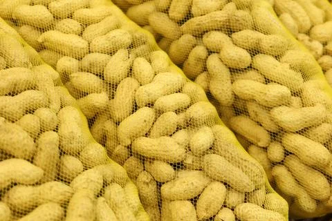 Peanut in a shell texture. Stock Photos