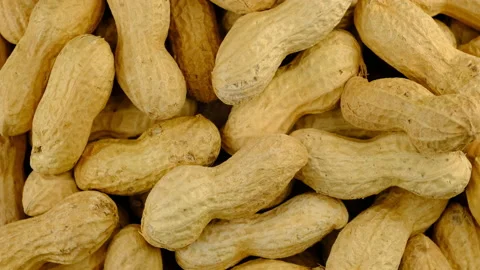 Peanut shell top 動画素材 137627311