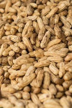 Peanut with a shell. Top view. Stock Photos