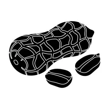 Peanut in the shell.Different kinds of nuts single icon in black style vector Stock Illustration