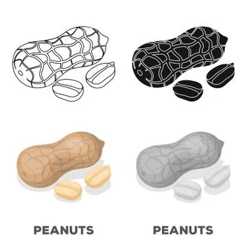 Peanut in the shell.Different kinds of nuts single icon in cartoon style vector Stock Illustration