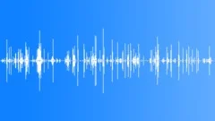 Peanut Shells Crackle 01 Sound Effect