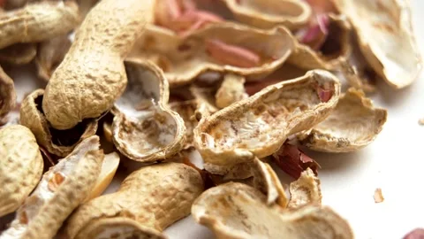 Peanut shells of peeled nuts. Organic waste compost component Stock Footage 310183530