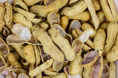 Peanut shells Stock Photos