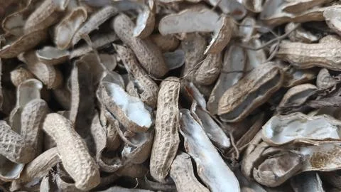 Peanut Shells Texture Background Natural Agricultural Waste Stock Photos