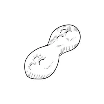 Peanut sketch icon Stock Illustration