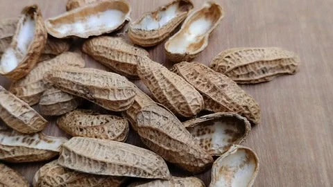 Peanut skin on wood texture background 스톡 동영상 308771280