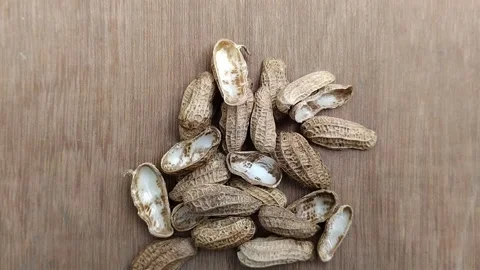 Peanut skin on wood texture background 스톡 동영상 308771504