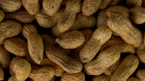 Peanut top view background. Close-up of peanuts. Stock Footage 139511553