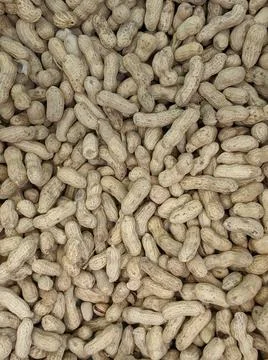 Peanut. Top view Stock Photos