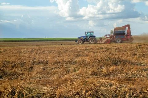 Peanut tractor Stock Photos