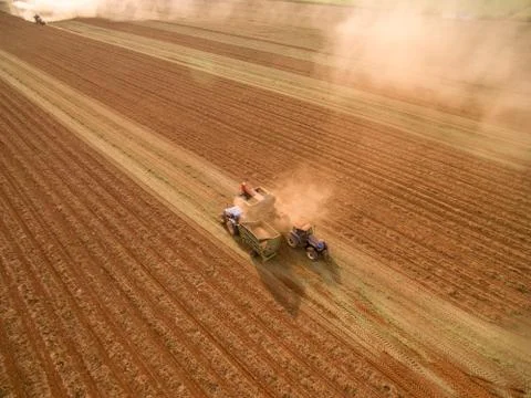 Peanut tractor Stock Photos
