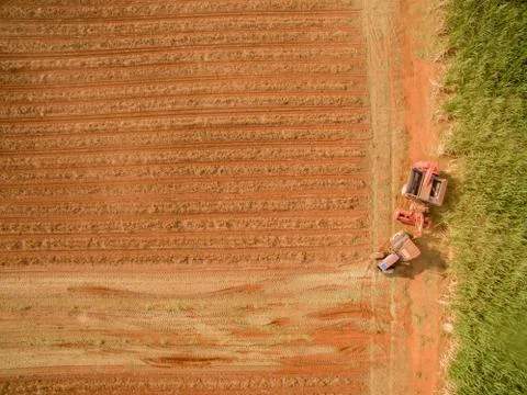 Peanut tractor Stock Photos