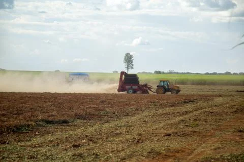 Peanut tractor Foto stock