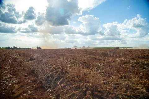 Peanut tractor Stock Photos