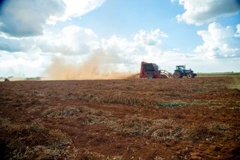 Peanut tractor Stock Photos