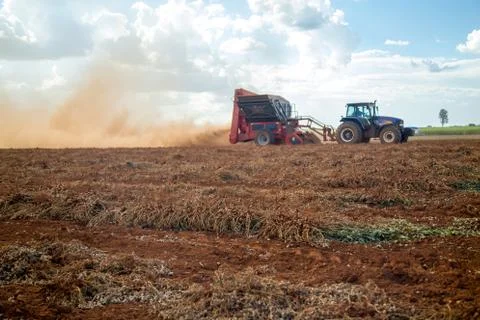 Peanut tractor Stock Photos