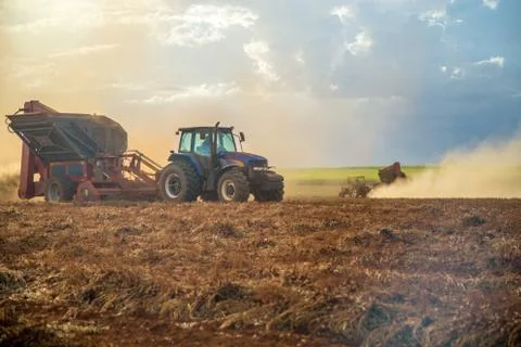 Peanut tractor Stock Photos